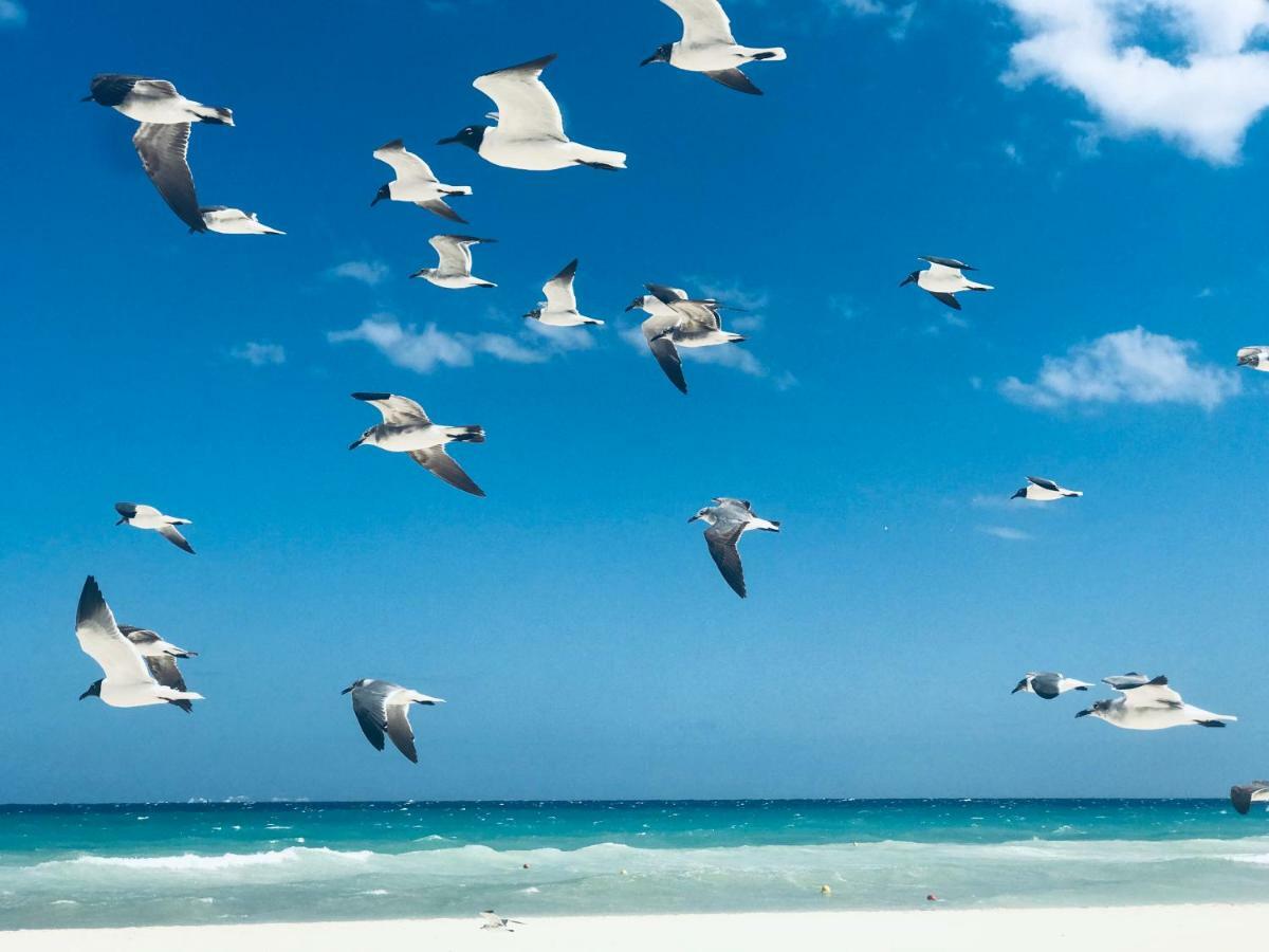 Villa Bella 3Br Wifi Bikes Beach Access (Adults Only) Playa del Carmen Luaran gambar